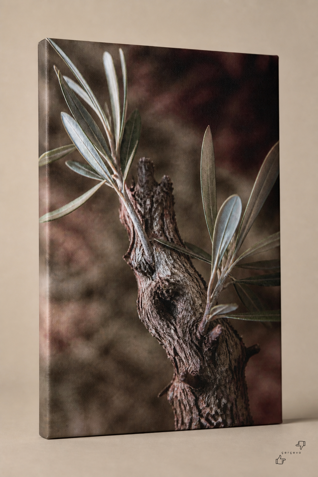 Zeytin Dalı — kanvas tablo