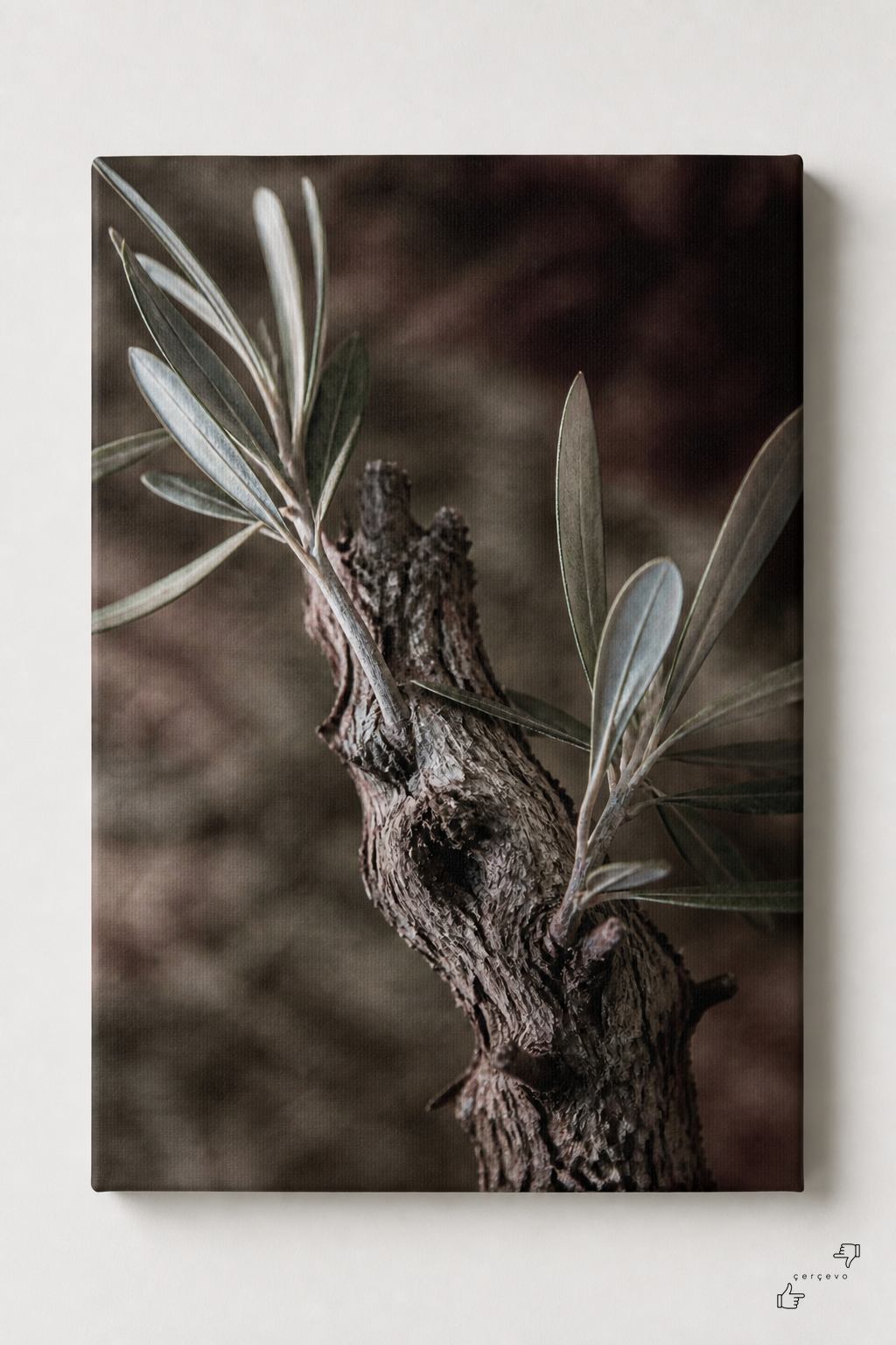 Zeytin Dalı — kanvas tablo