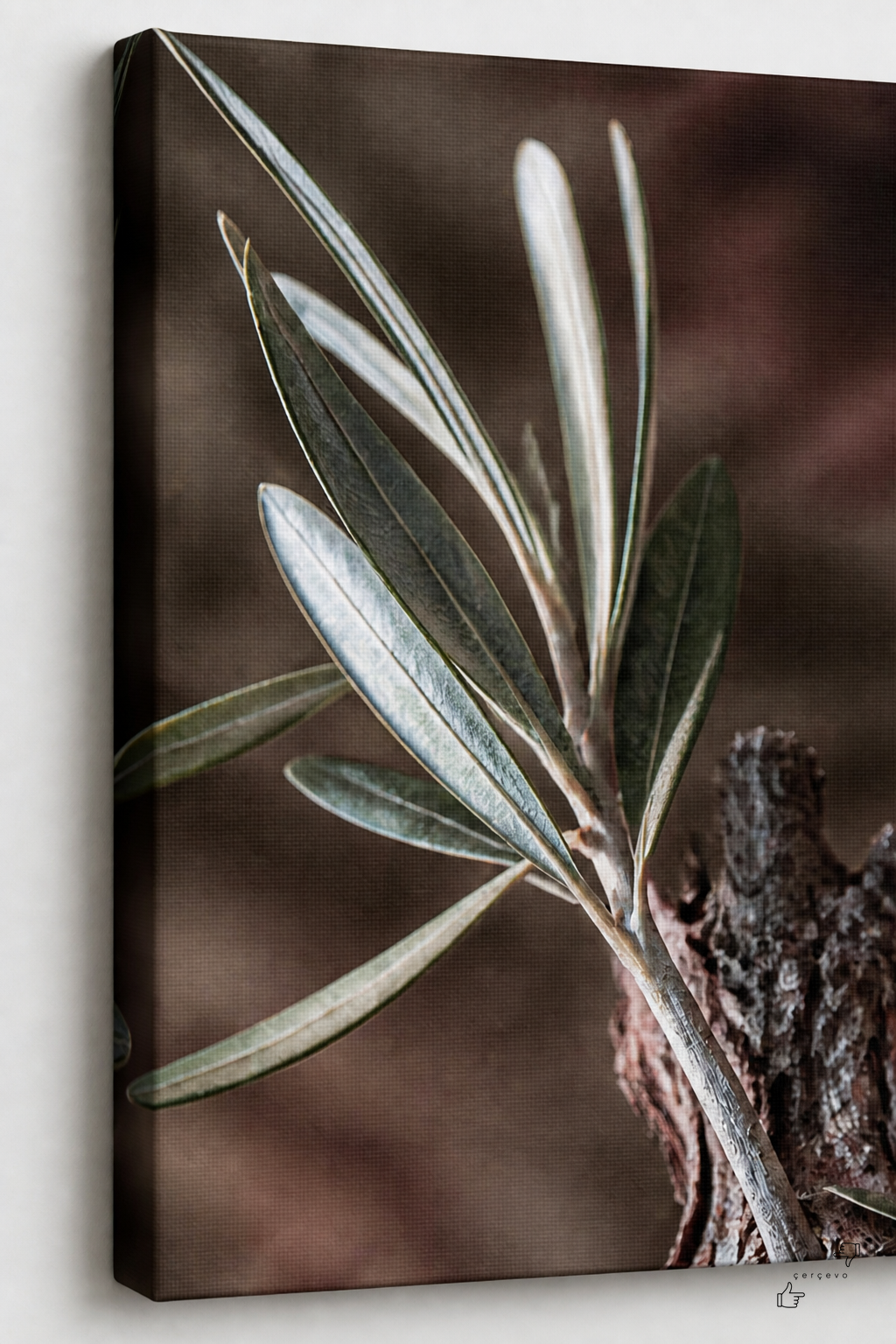 Zeytin Dalı — kanvas tablo